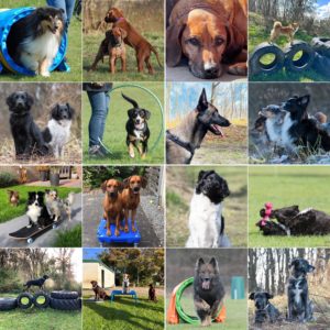 Combicursus zondag 12.00 uur Beverwijk start: 6 september