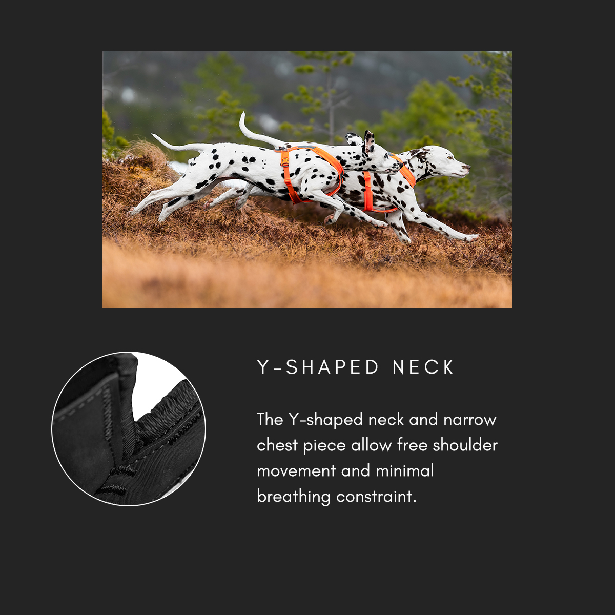 Line Harness 5.0 - Afbeelding 7